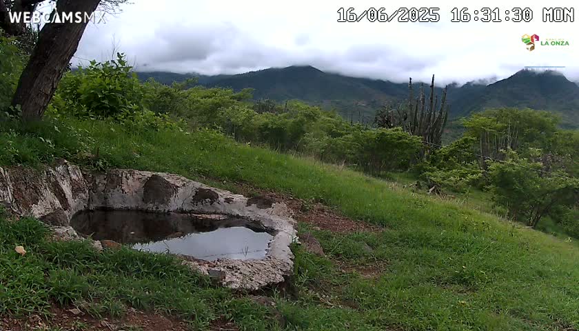 Rancho La Onza. Criadero Cattle Ranch Live Cam - San Luiz de la Paz, Guanajuato, Mexico