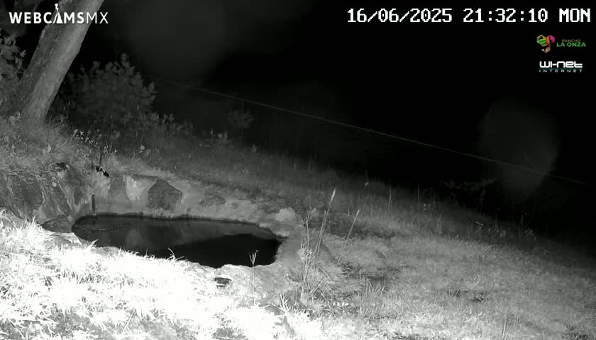 Rancho La Onza. Criadero Cattle Ranch Live Cam - San Luiz de la Paz, Guanajuato, Mexico