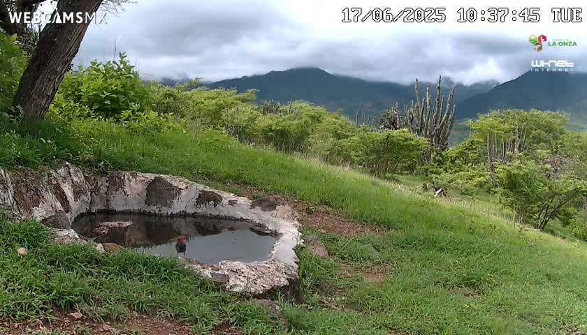 A stone basin containing still water sits in a grassy area overlooking a mountainous landscape under a cloudy sky.