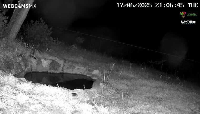 Rancho La Onza. Criadero Cattle Ranch Live Cam - San Luiz de la Paz, Guanajuato, Mexico
