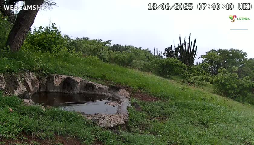 A small, dark pool of water sits in a stone basin on a grassy hillside under an overcast sky.