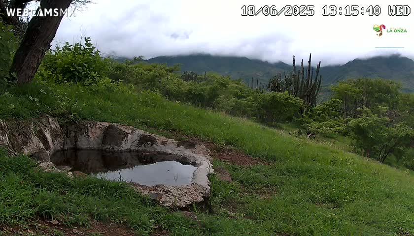 Rancho La Onza. Criadero Cattle Ranch Live Cam - San Luiz de la Paz, Guanajuato, Mexico