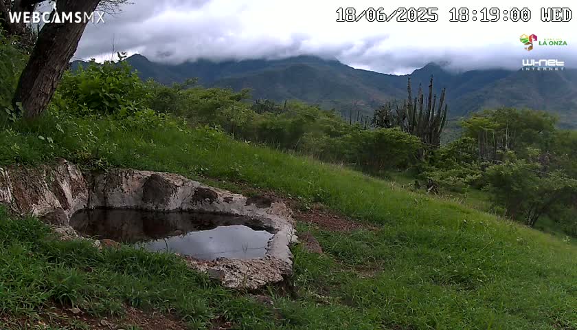 Rancho La Onza. Criadero Cattle Ranch Live Cam - San Luiz de la Paz, Guanajuato, Mexico
