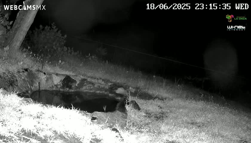 Rancho La Onza. Criadero Cattle Ranch Live Cam - San Luiz de la Paz, Guanajuato, Mexico