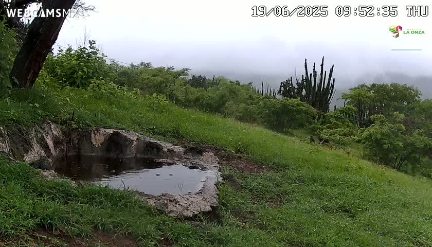 A small, still pool of water sits in a rocky depression on a grassy hillside under a foggy sky.
