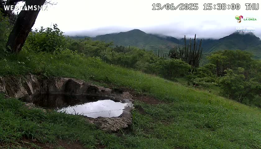 Rancho La Onza. Criadero Cattle Ranch Live Cam - San Luiz de la Paz, Guanajuato, Mexico