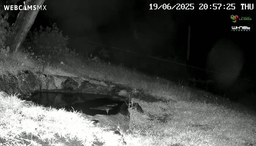 Rancho La Onza. Criadero Cattle Ranch Live Cam - San Luiz de la Paz, Guanajuato, Mexico