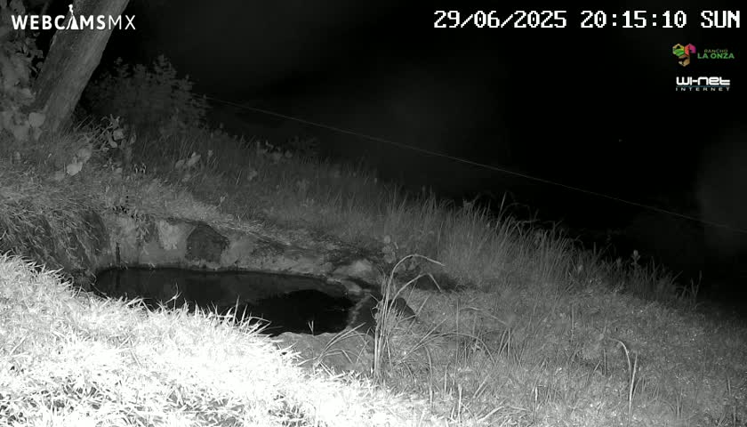 Rancho La Onza. Criadero Cattle Ranch Live Cam - San Luiz de la Paz, Guanajuato, Mexico
