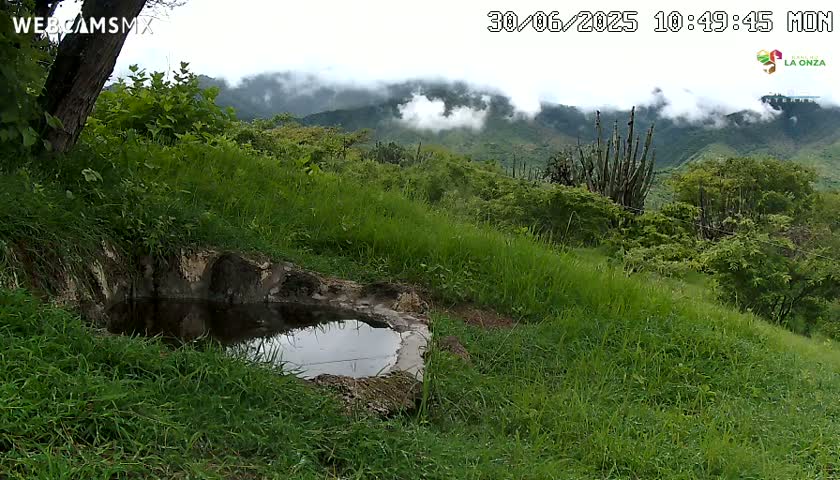 Rancho La Onza. Criadero Cattle Ranch Live Cam - San Luiz de la Paz, Guanajuato, Mexico
