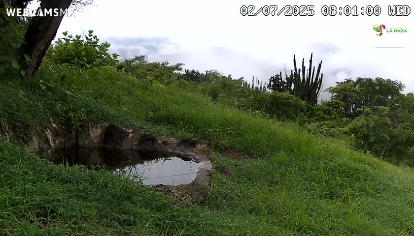 Rancho La Onza. Criadero Cattle Ranch Live Cam - San Luiz de la Paz, Guanajuato, Mexico