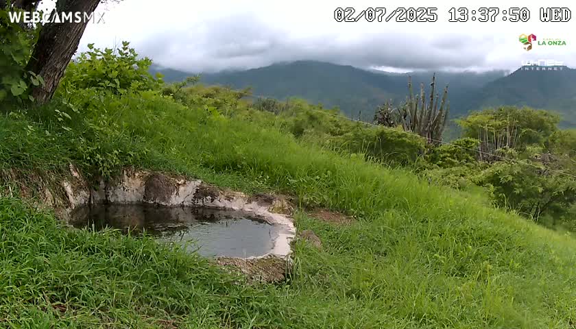 Rancho La Onza. Criadero Cattle Ranch Live Cam - San Luiz de la Paz, Guanajuato, Mexico