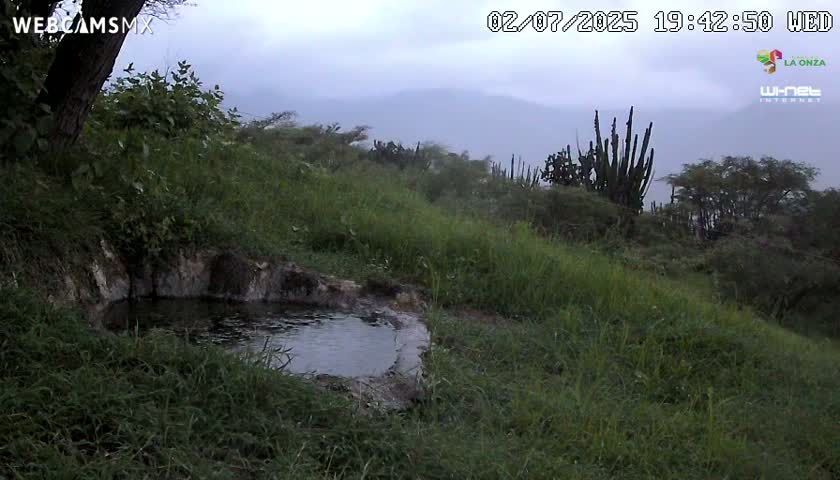 Rancho La Onza. Criadero Cattle Ranch Live Cam - San Luiz de la Paz, Guanajuato, Mexico