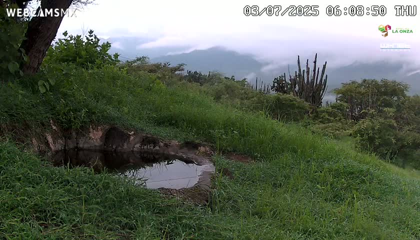 Rancho La Onza. Criadero Cattle Ranch Live Cam - San Luiz de la Paz, Guanajuato, Mexico