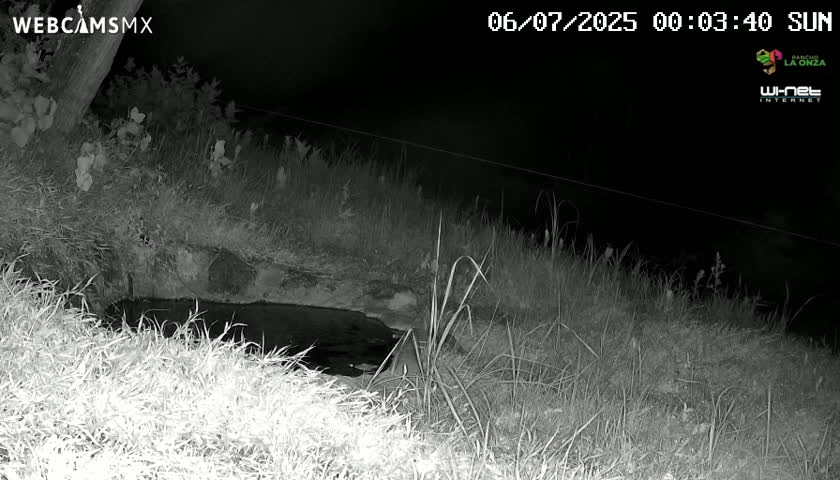 Rancho La Onza. Criadero Cattle Ranch Live Cam - San Luiz de la Paz, Guanajuato, Mexico