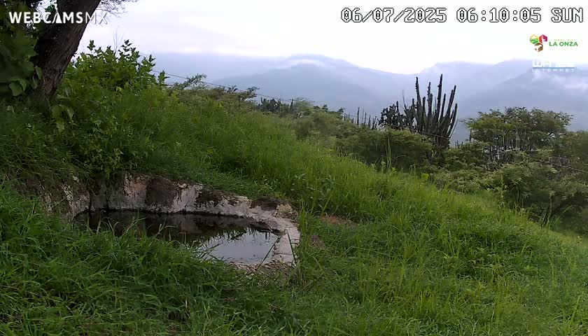 Rancho La Onza. Criadero Cattle Ranch Live Cam - San Luiz de la Paz, Guanajuato, Mexico
