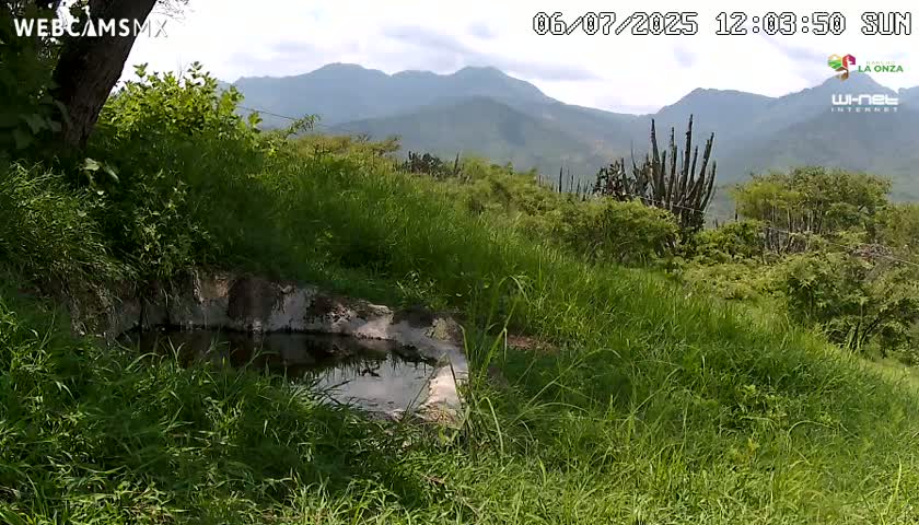 Rancho La Onza. Criadero Cattle Ranch Live Cam - San Luiz de la Paz, Guanajuato, Mexico