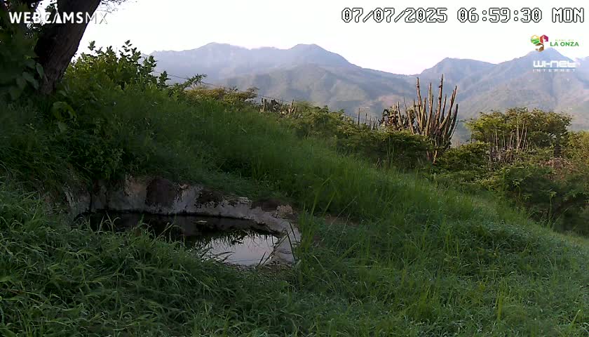 Rancho La Onza. Criadero Cattle Ranch Live Cam - San Luiz de la Paz, Guanajuato, Mexico