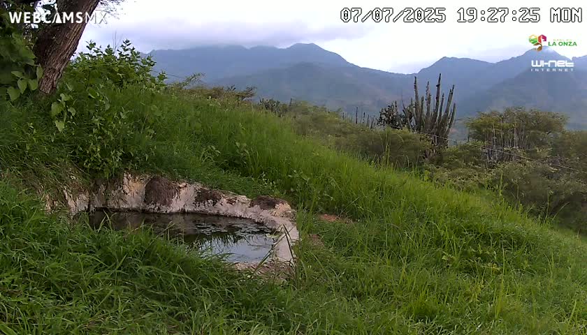Rancho La Onza. Criadero Cattle Ranch Live Cam - San Luiz de la Paz, Guanajuato, Mexico