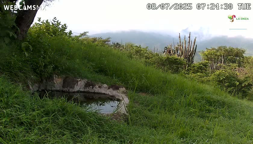 Rancho La Onza. Criadero Cattle Ranch Live Cam - San Luiz de la Paz, Guanajuato, Mexico