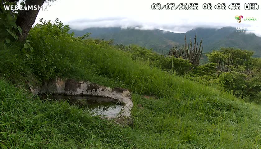 Rancho La Onza. Criadero Cattle Ranch Live Cam - San Luiz de la Paz, Guanajuato, Mexico