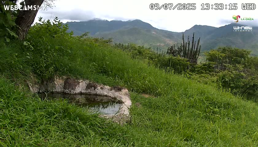 Rancho La Onza. Criadero Cattle Ranch Live Cam - San Luiz de la Paz, Guanajuato, Mexico