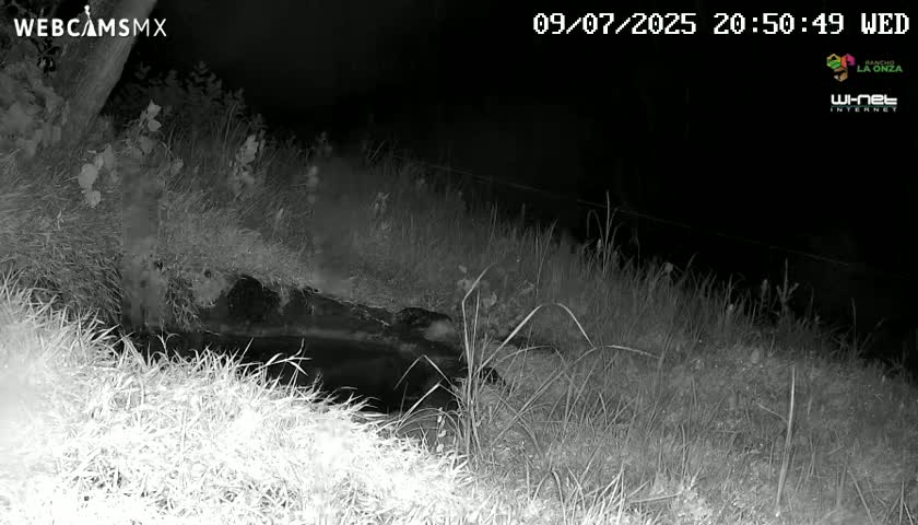 Rancho La Onza. Criadero Cattle Ranch Live Cam - San Luiz de la Paz, Guanajuato, Mexico