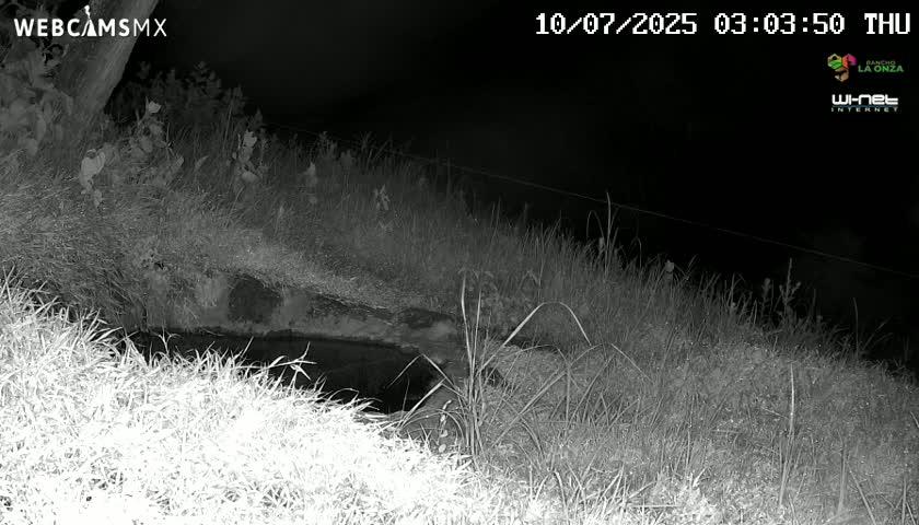 Rancho La Onza. Criadero Cattle Ranch Live Cam - San Luiz de la Paz, Guanajuato, Mexico
