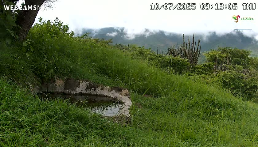 Rancho La Onza. Criadero Cattle Ranch Live Cam - San Luiz de la Paz, Guanajuato, Mexico