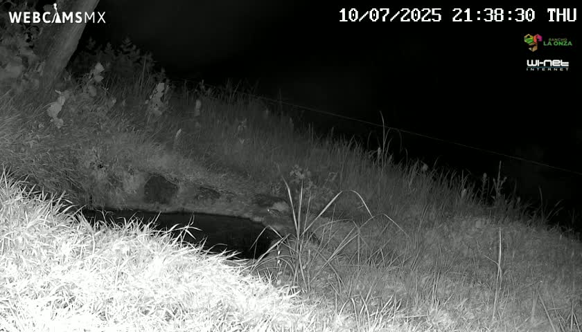 Rancho La Onza. Criadero Cattle Ranch Live Cam - San Luiz de la Paz, Guanajuato, Mexico