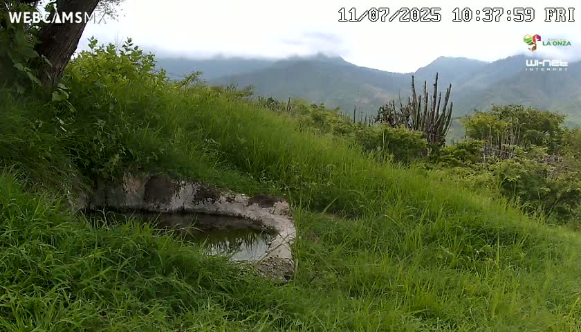 Rancho La Onza. Criadero Cattle Ranch Live Cam - San Luiz de la Paz, Guanajuato, Mexico