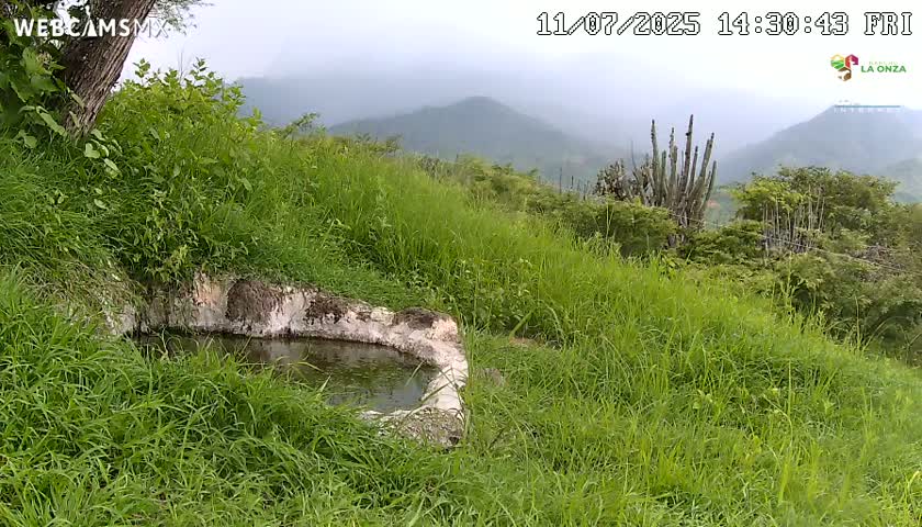 Rancho La Onza. Criadero Cattle Ranch Live Cam - San Luiz de la Paz, Guanajuato, Mexico