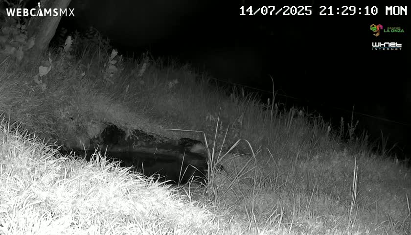 Rancho La Onza. Criadero Cattle Ranch Live Cam - San Luiz de la Paz, Guanajuato, Mexico