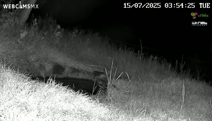 Rancho La Onza. Criadero Cattle Ranch Live Cam - San Luiz de la Paz, Guanajuato, Mexico