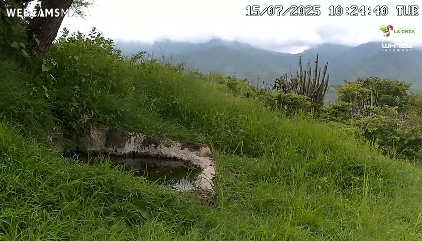 Rancho La Onza. Criadero Cattle Ranch Live Cam - San Luiz de la Paz, Guanajuato, Mexico