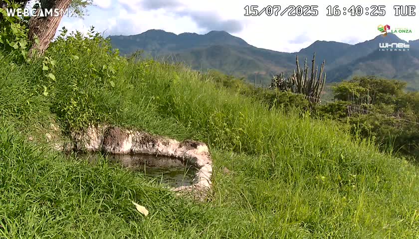 Rancho La Onza. Criadero Cattle Ranch Live Cam - San Luiz de la Paz, Guanajuato, Mexico