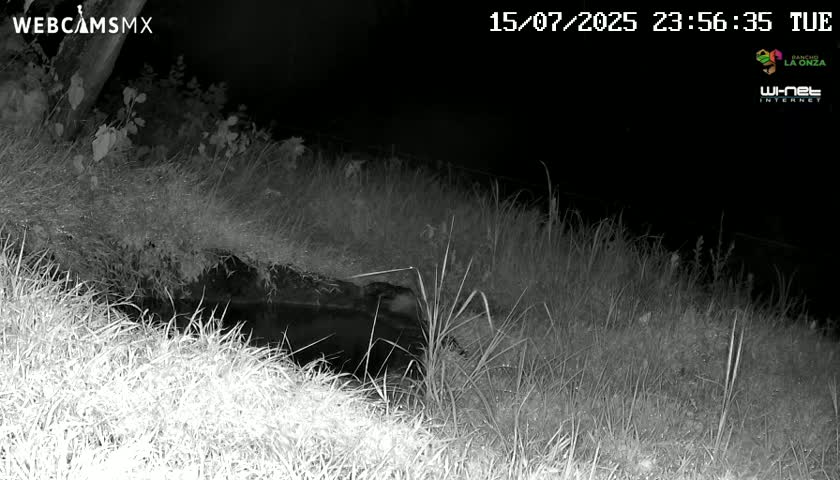 Rancho La Onza. Criadero Cattle Ranch Live Cam - San Luiz de la Paz, Guanajuato, Mexico