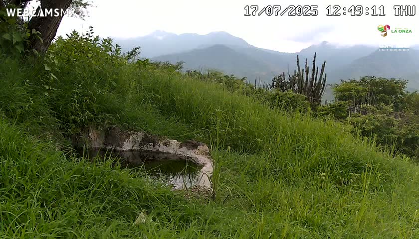 Rancho La Onza. Criadero Cattle Ranch Live Cam - San Luiz de la Paz, Guanajuato, Mexico