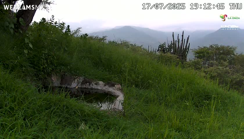Rancho La Onza. Criadero Cattle Ranch Live Cam - San Luiz de la Paz, Guanajuato, Mexico