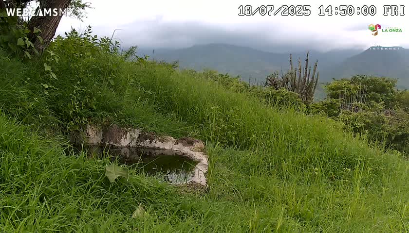 Rancho La Onza. Criadero Cattle Ranch Live Cam - San Luiz de la Paz, Guanajuato, Mexico