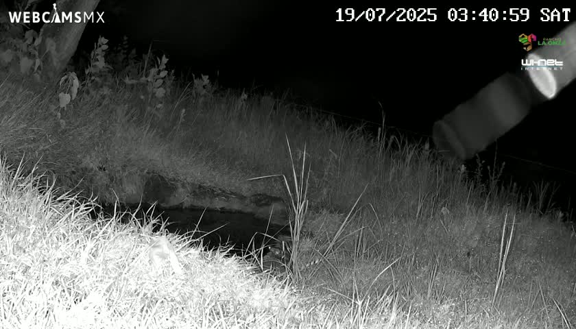 Rancho La Onza. Criadero Cattle Ranch Live Cam - San Luiz de la Paz, Guanajuato, Mexico