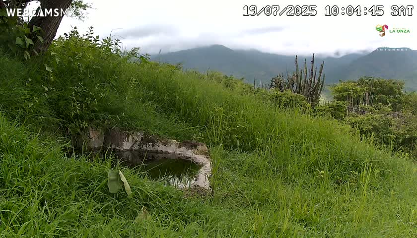 Rancho La Onza. Criadero Cattle Ranch Live Cam - San Luiz de la Paz, Guanajuato, Mexico