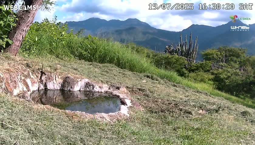 Rancho La Onza. Criadero Cattle Ranch Live Cam - San Luiz de la Paz, Guanajuato, Mexico