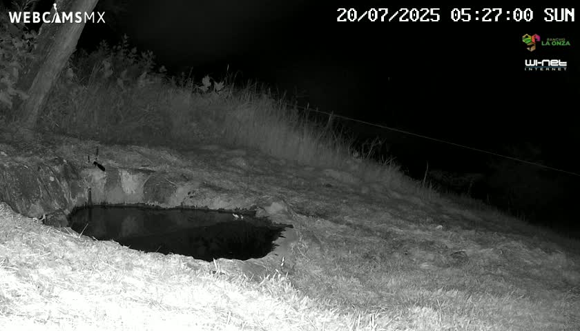 Rancho La Onza. Criadero Cattle Ranch Live Cam - San Luiz de la Paz, Guanajuato, Mexico