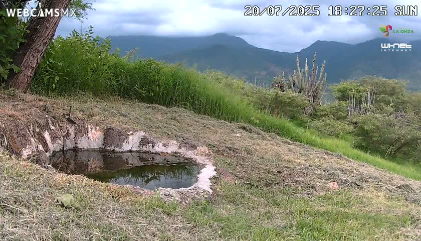 Rancho La Onza. Criadero Cattle Ranch Live Cam - San Luiz de la Paz, Guanajuato, Mexico