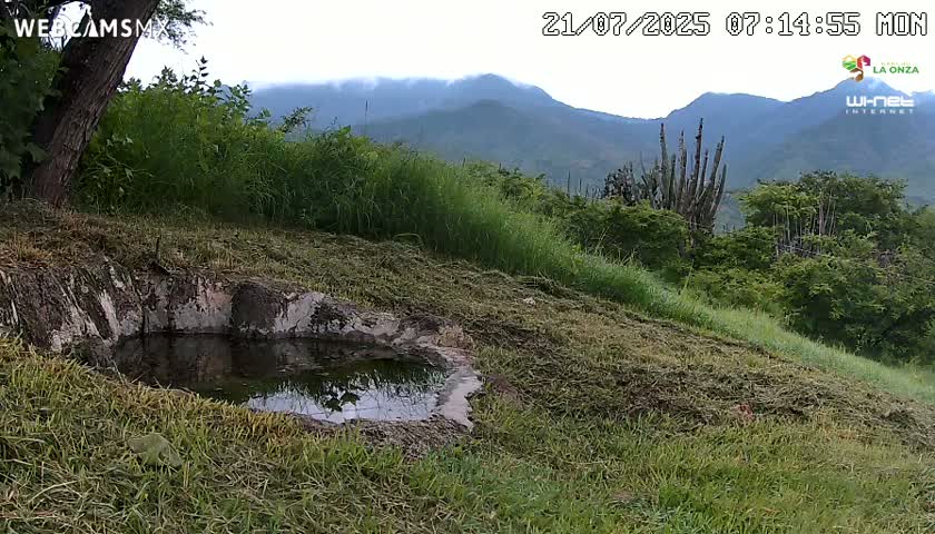 Rancho La Onza. Criadero Cattle Ranch Live Cam - San Luiz de la Paz, Guanajuato, Mexico