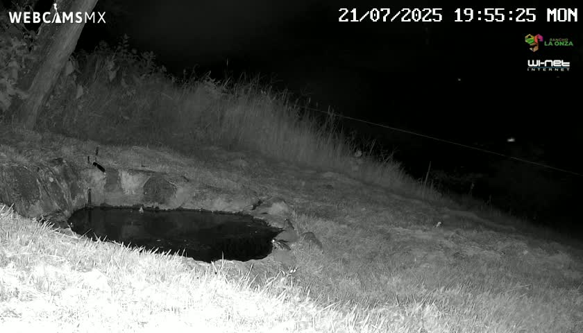 Rancho La Onza. Criadero Cattle Ranch Live Cam - San Luiz de la Paz, Guanajuato, Mexico