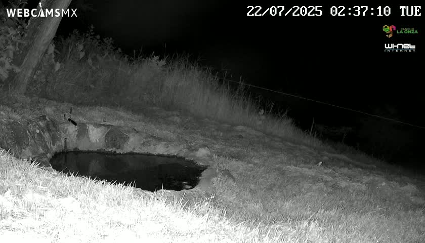 Rancho La Onza. Criadero Cattle Ranch Live Cam - San Luiz de la Paz, Guanajuato, Mexico