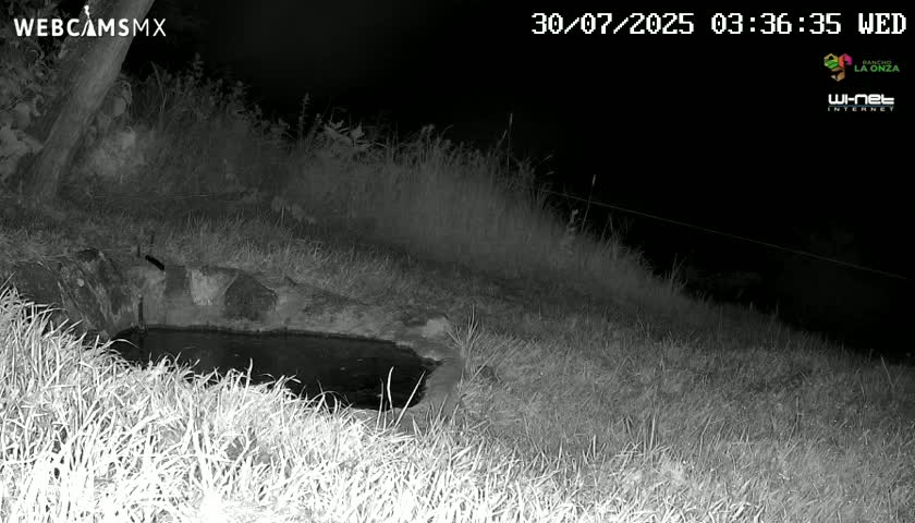 Rancho La Onza. Criadero Cattle Ranch Live Cam - San Luiz de la Paz, Guanajuato, Mexico