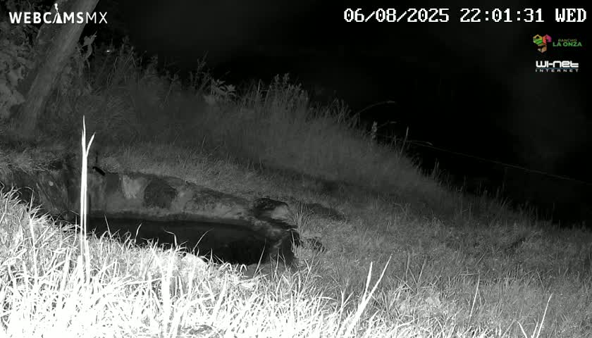 Rancho La Onza. Criadero Cattle Ranch Live Cam - San Luiz de la Paz, Guanajuato, Mexico