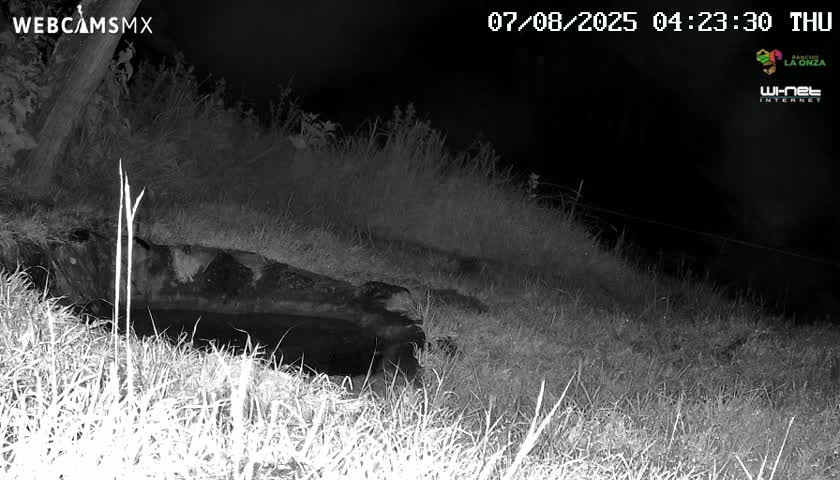 Rancho La Onza. Criadero Cattle Ranch Live Cam - San Luiz de la Paz, Guanajuato, Mexico